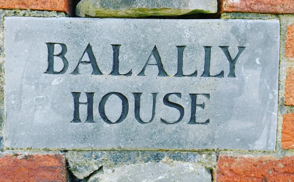 Balally House Shannon Exterior photo